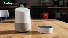 You Can Now Make Calls With Google Home For Free